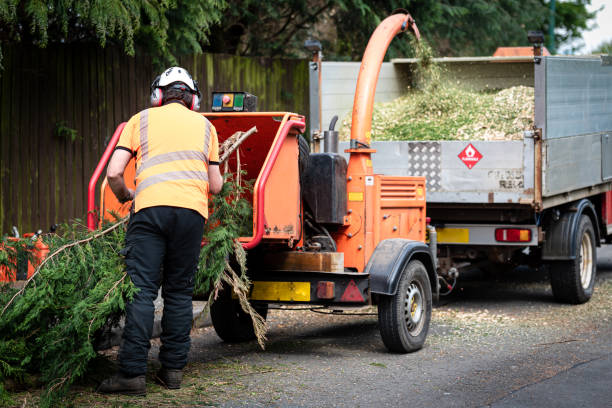 Best Pest Control for Lawns  in Waterflow, NM